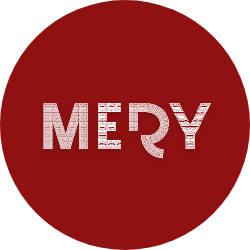 Fashion Mery logo